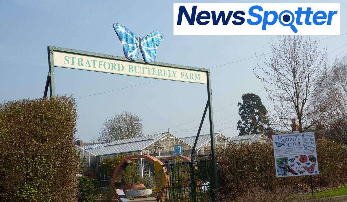 Stratford Butterfly Farm